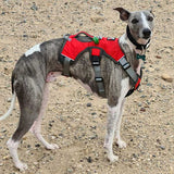 Muzzwick | Dog Escape-Proof Harness for Whippets and Greyhounds Reflective
