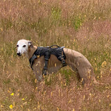 Veldune | Dog Escape-Proof Harness for Whippets and Greyhounds Reflective
