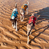 Veldune | Dog Escape-Proof Harness for Whippets and Greyhounds Reflective