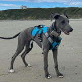 Muzzwick | Dog Escape-Proof Harness for Whippets and Greyhounds Reflective