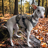 Muzzwick | Dog Escape-Proof Harness for Whippets and Greyhounds Reflective