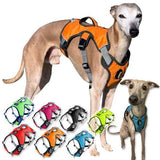 Muzzwick | Dog Escape-Proof Harness for Whippets and Greyhounds Reflective