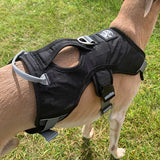 Muzzwick | Dog Escape-Proof Harness for Whippets and Greyhounds Reflective